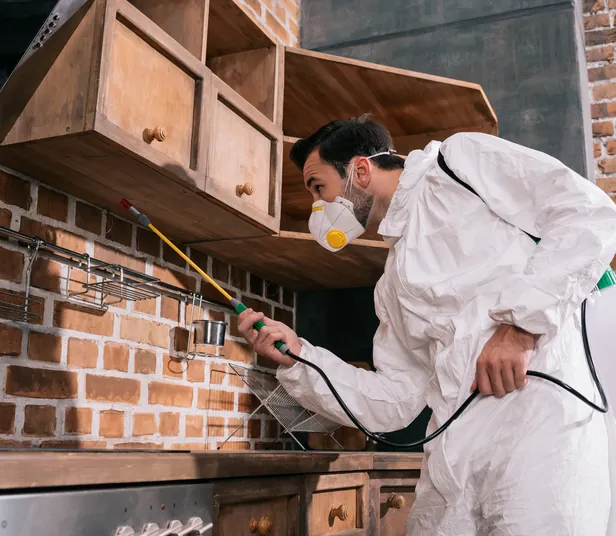 Profissional aplicando tratamento em cozinha