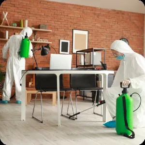 Sanitização de Ambientes